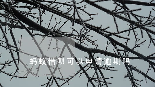 蚂蚁借呗可以申请逾期吗 蚂蚁借呗可以申请逾期吗