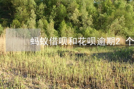 蚂蚁借呗和花呗逾期2个月 蚂蚁借呗和花呗逾期2个月