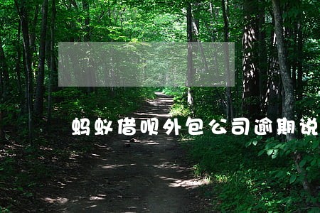 蚂蚁借呗外包公司逾期说要上门