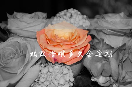 蚂蚁借呗多久会逾期 蚂蚁借呗多久会逾期