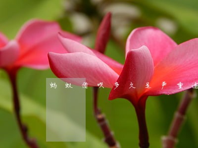 蚂蚁借呗多久是严重逾期 蚂蚁借呗多久是严重逾期