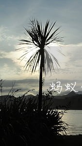 蚂蚁借呗多次借款没有逾期 蚂蚁借呗多次借款没有逾期