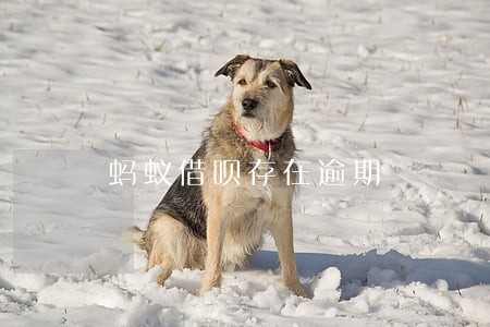 蚂蚁借呗存在逾期
