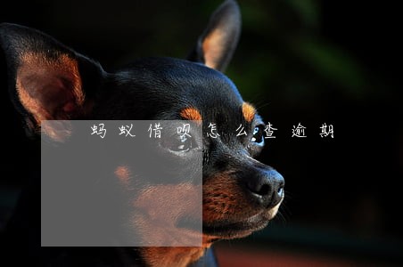 蚂蚁借呗怎么查逾期 蚂蚁借呗怎么查逾期