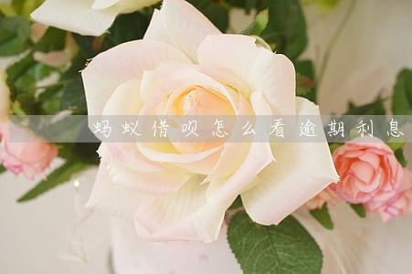 蚂蚁借呗怎么看逾期利息 蚂蚁借呗怎么看逾期利息
