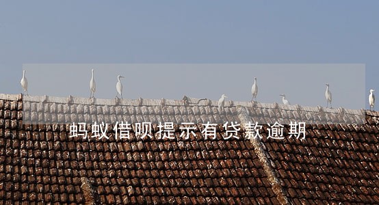 蚂蚁借呗提示有贷款逾期 蚂蚁借呗提示有贷款逾期