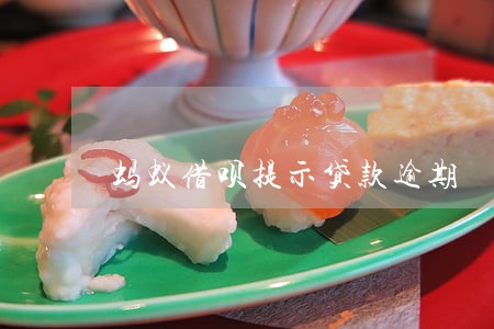 蚂蚁借呗提示贷款逾期 蚂蚁借呗提示贷款逾期