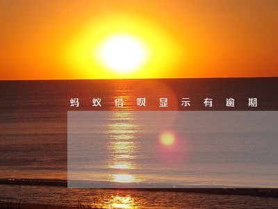 蚂蚁借呗显示有逾期 蚂蚁借呗显示有逾期