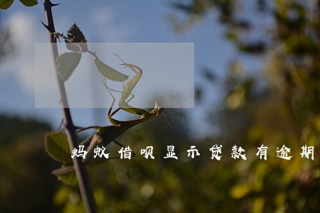 蚂蚁借呗显示贷款有逾期 蚂蚁借呗显示贷款有逾期