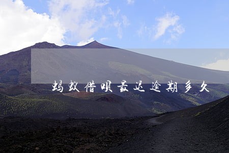 蚂蚁借呗最迟逾期多久 蚂蚁借呗最迟逾期多久