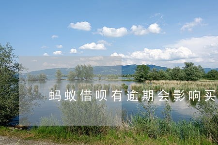 蚂蚁借呗有逾期会影响买房吗 蚂蚁借呗有逾期会影响买房吗