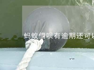 蚂蚁借呗有逾期还可以借吗 蚂蚁借呗有逾期还可以借吗