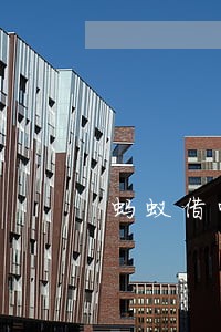 蚂蚁借呗未逾期上征信吗 蚂蚁借呗未逾期上征信吗