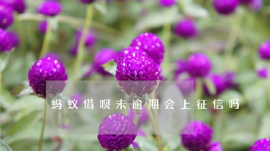 蚂蚁借呗未逾期会上征信吗 蚂蚁借呗未逾期会上征信吗