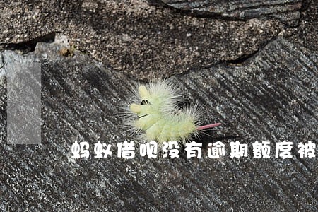 蚂蚁借呗没有逾期额度被封了 蚂蚁借呗没有逾期额度被封了