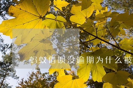 蚂蚁借呗没逾期为什么被关 蚂蚁借呗没逾期为什么被关
