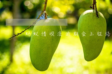 蚂蚁借呗没逾期会上征信吗 蚂蚁借呗没逾期会上征信吗