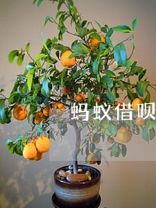 蚂蚁借呗没逾期怎么被降额度了 蚂蚁借呗没逾期怎么被降额度了