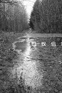 蚂蚁借呗没逾期打电话 蚂蚁借呗没逾期打电话