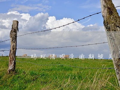 蚂蚁借呗没逾期被关 蚂蚁借呗没逾期被关