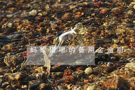 蚂蚁借呗的备用金逾期 蚂蚁借呗的备用金逾期