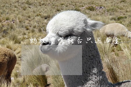 蚂蚁借呗能否只还本金 蚂蚁借呗能否只还本金