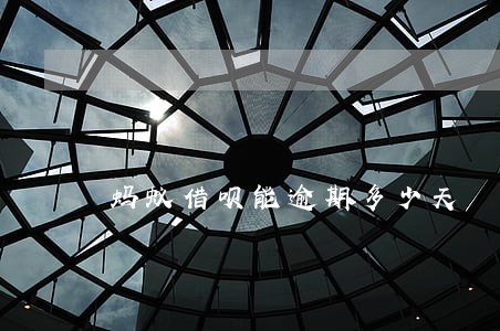 蚂蚁借呗能逾期多少天 蚂蚁借呗能逾期多少天