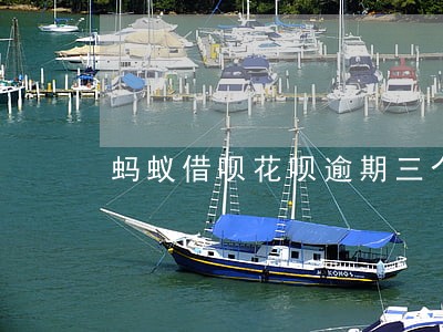 蚂蚁借呗花呗逾期三个月怎么办 蚂蚁借呗花呗逾期三个月怎么办