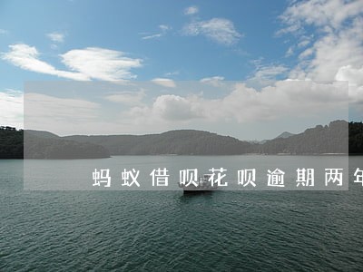 蚂蚁借呗花呗逾期两年多