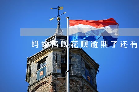 蚂蚁借呗花呗逾期了还有吗 蚂蚁借呗花呗逾期了还有吗