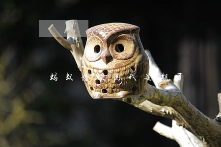 蚂蚁借呗说我逾期了 蚂蚁借呗说我逾期了