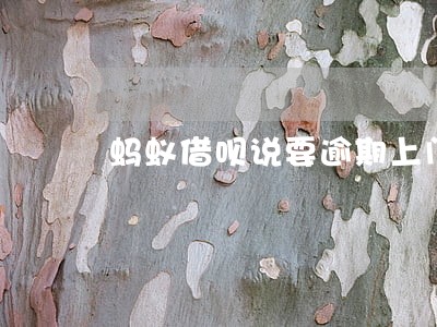 蚂蚁借呗说要逾期上门看情况 蚂蚁借呗说要逾期上门看情况