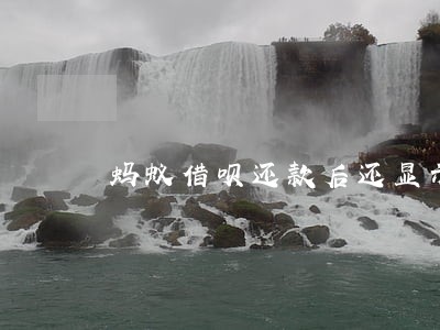 蚂蚁借呗还款后还显示逾期 蚂蚁借呗还款后还显示逾期