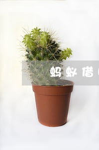 蚂蚁借呗还款后还显示逾期6 蚂蚁借呗还款后还显示逾期6