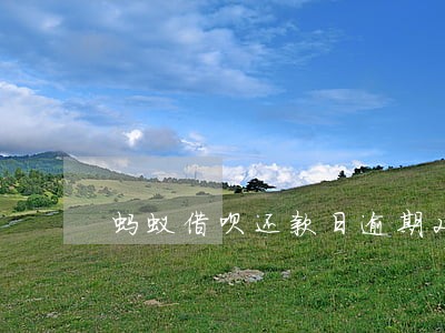 蚂蚁借呗还款日逾期2天 蚂蚁借呗还款日逾期2天