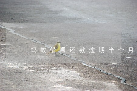 蚂蚁借呗还款逾期半个月 蚂蚁借呗还款逾期半个月