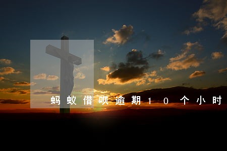 蚂蚁借呗逾期10个小时