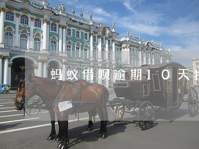 蚂蚁借呗逾期10天扣多少钱 蚂蚁借呗逾期10天扣多少钱