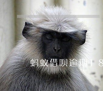 蚂蚁借呗逾期18个小时 蚂蚁借呗逾期18个小时