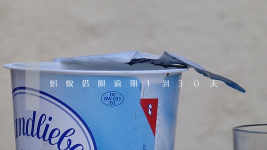 蚂蚁借呗逾期1到30天 蚂蚁借呗逾期1到30天