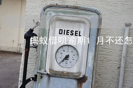 蚂蚁借呗逾期1月不还怎么办 蚂蚁借呗逾期1月不还怎么办
