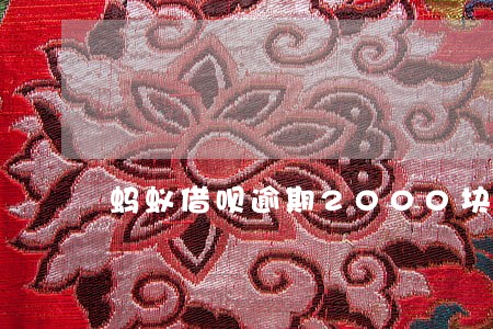 蚂蚁借呗逾期2000块 蚂蚁借呗逾期2000块