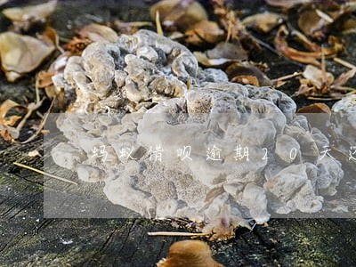 蚂蚁借呗逾期20天还款 蚂蚁借呗逾期20天还款