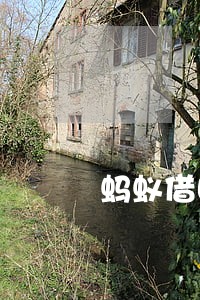 蚂蚁借呗逾期22万 蚂蚁借呗逾期22万