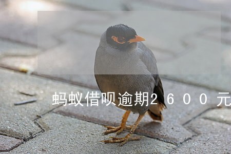 蚂蚁借呗逾期2600元 蚂蚁借呗逾期2600元