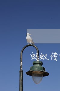 蚂蚁借呗逾期2天影响不 蚂蚁借呗逾期2天影响不