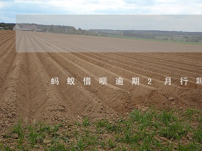蚂蚁借呗逾期2月行吗 蚂蚁借呗逾期2月行吗