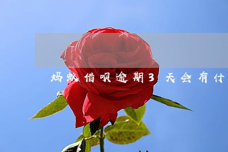 蚂蚁借呗逾期3天会有什么影响 蚂蚁借呗逾期3天会有什么影响