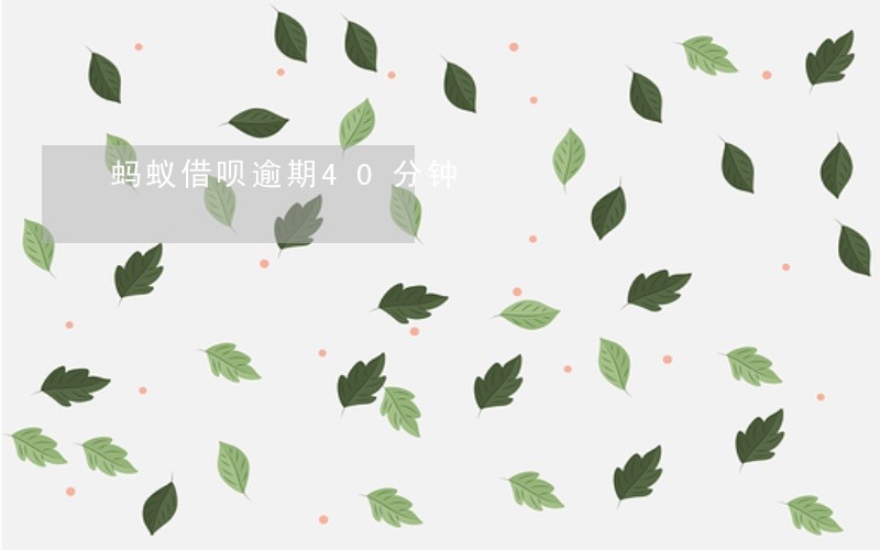 蚂蚁借呗逾期40分钟