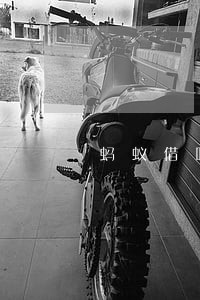 蚂蚁借呗逾期4天能撤销吗 蚂蚁借呗逾期4天能撤销吗